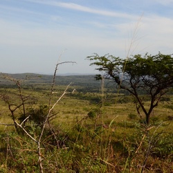 2015-05 South Africa/iMfolozi/DSC_0090.JPG